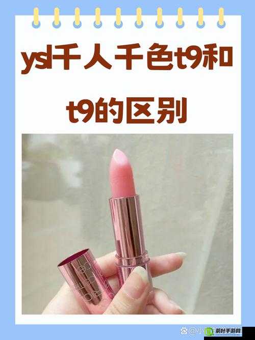 YSL 千人千色 T9T9T90 网页版：带你领略独特的美妆魅力世界