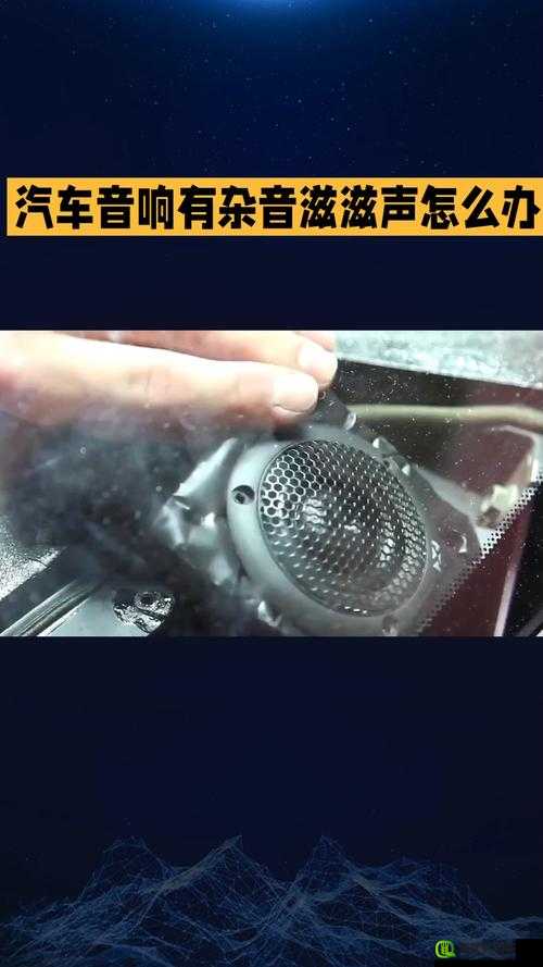 结合处发出滋滋拍打声音频引发的奇妙现象探讨