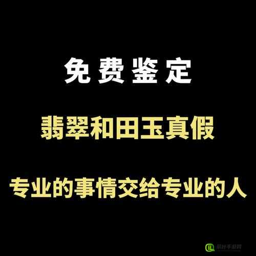 鉴定师 APP 免费：提供专业且便捷的鉴定服务