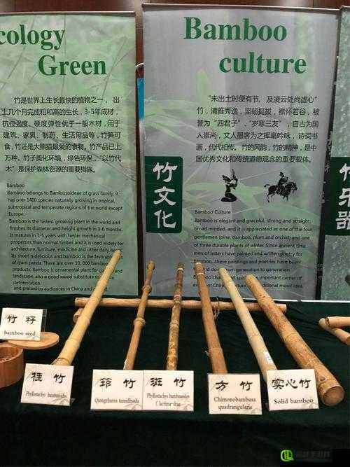 国精产品一区一区三区 M 引领独特视觉体验与艺术魅力