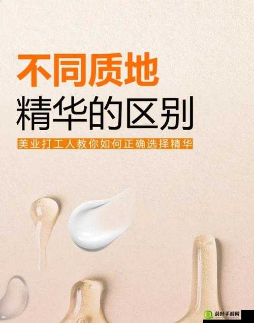 精华区二区区别 88888：深度解析其不同之处