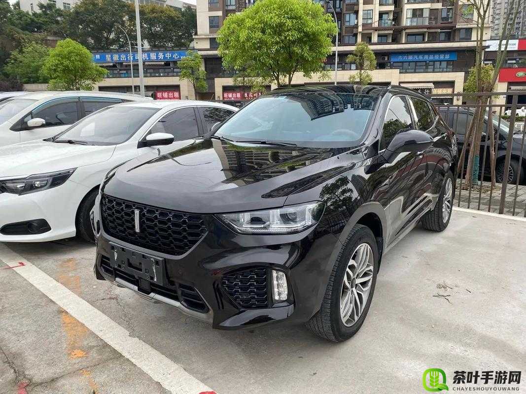 weyvv8 国产的 suv：展现国产汽车魅力的卓越之选